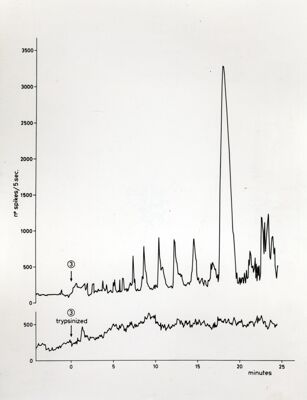 Grafico non determinabile