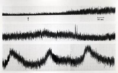 Grafico non determinabile