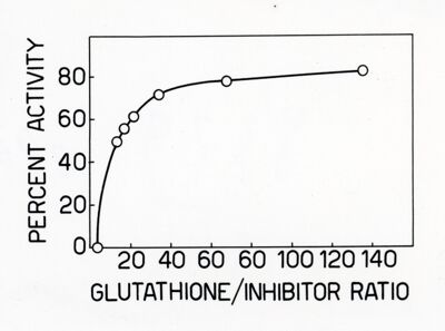 Lavoro sulla cinetica e sulle reazioni di equilibrio della deidroginasi cristallina dell'acido glutammico