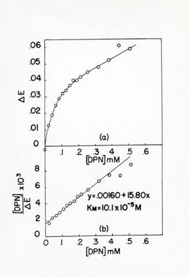 Lavoro sulla cinetica e sulle reazioni di equilibrio della deidrogenasi cristallina dell'acido glutammico