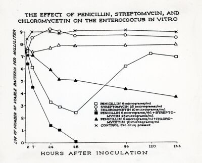 Effetto della Penicillina, streptomicina e cloromicetina sull'Enterococcus in vitro