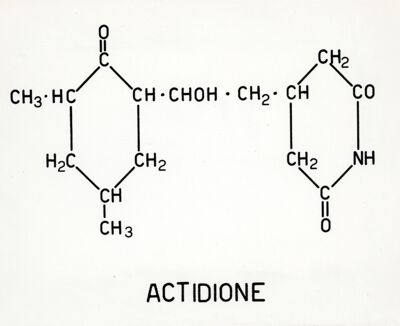 Formula di struttura dell'actidione