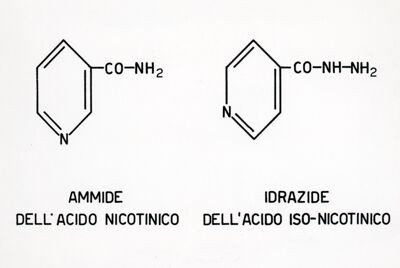 Formula di struttura della nicotinammide e dell'idrazide dell'acido isonicotinico