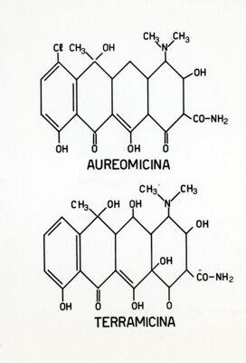 Formule di struttura dell'aureomicina e terramicina