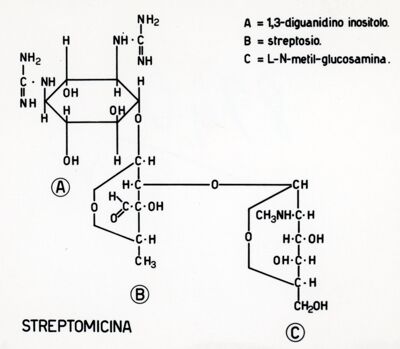 Formule di struttura della streptomicina