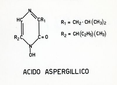 Acido aspergillico (formula di struttura)