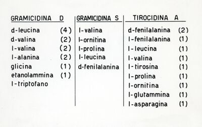 Composizione della gramicidina e tirocidina