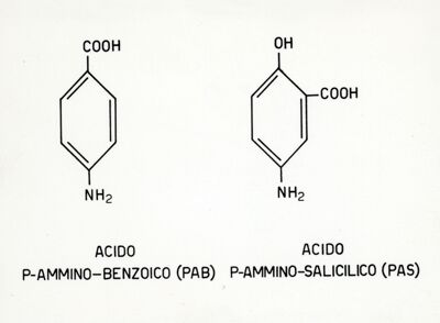 Formule di struttura del Pab e del Pas