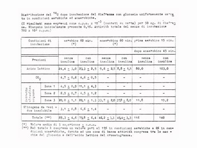 Tabella riguardante l'autodiagramma sul metabolismo del Glucosio