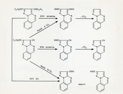 Sintesi eterocicliche con alogenuri idrazonici: derivati pirazolo - chinazonilici