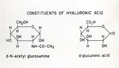 Formula riguardante l'acido Ialuronico