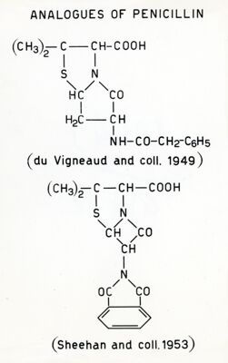 Formule riguardanti le sostanze analoghe alla Penicillina