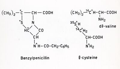 Formule riguardanti le sostanze analoghe alla penicillina