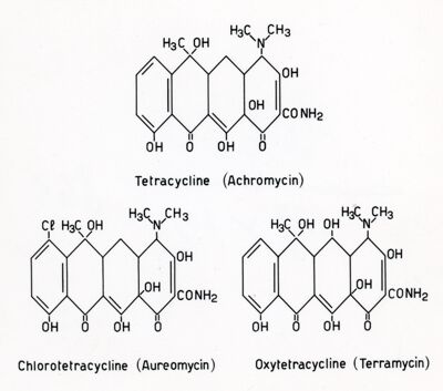 Formule