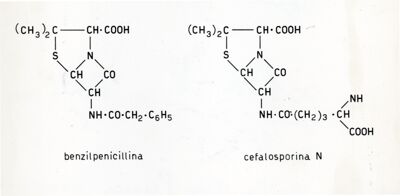 Culture miste tra Penicillium e Cephalosporium