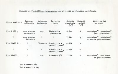 Mutanti e antibiosi in Penicillium