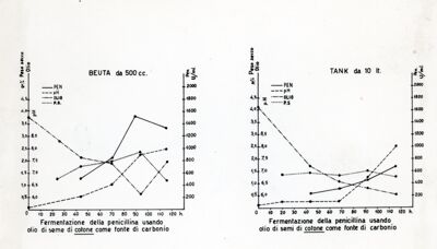 Grafico riguardante la produzione della Penicillina usando grassi ed olii come fonte di Carbonio