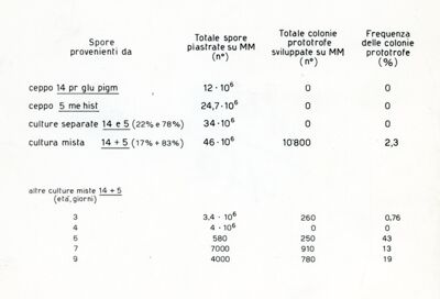 Ricombinazione in Streptomyces