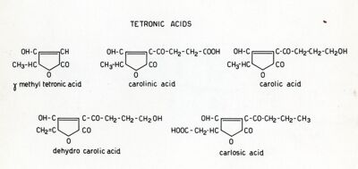 Acidi tetronici