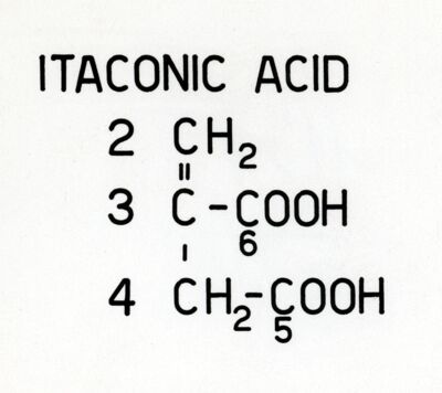 Acido Itaconico