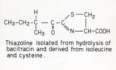 Tiazolina ottenuta per idrolisi della bacitracina