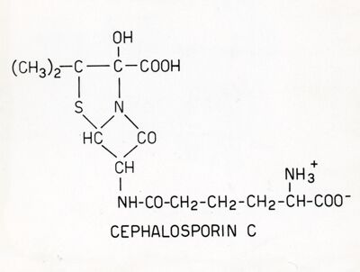 Cefalosporina C.