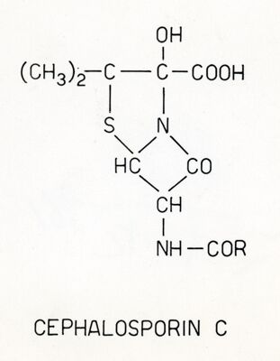 Cefalosporina C. (R)