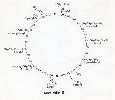 Gramicidina S.