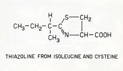 Tiazolina da Isoleucina e cisteina