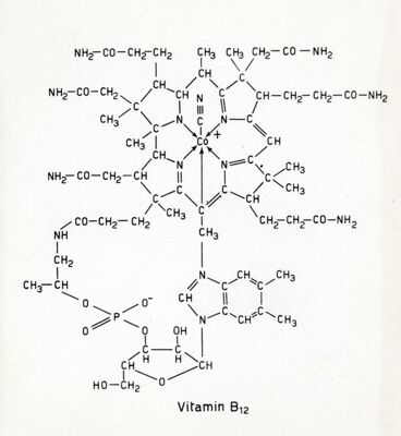 Formule della vitamina B12