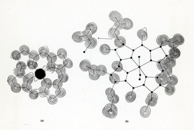 Vitamina B12 (Patterns)