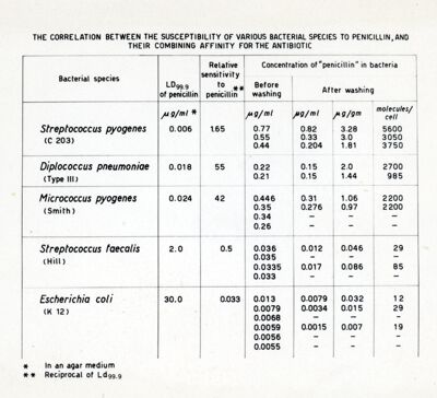 Susceptibility of various bacteril species and combing affinity for the penicillin