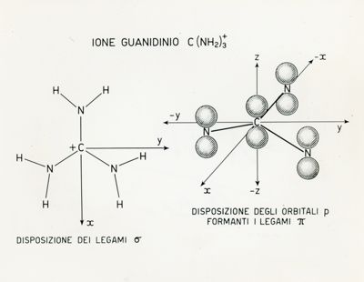 Effetti fisiologici e struttura elettronica degli ioni Sodio e Guanidinio