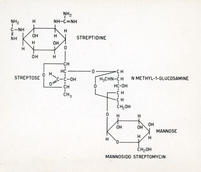 Mannosido streptomycin