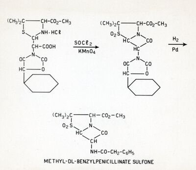 Methyl-DL-benzylpenicillinate Sulfone