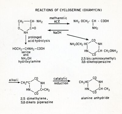 Reaction of cycloserine (Oxamycin)