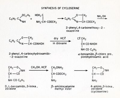 Synthesis of Cycloserine