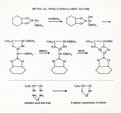 Methyl-DL-Phtalylpenicillinate suflone