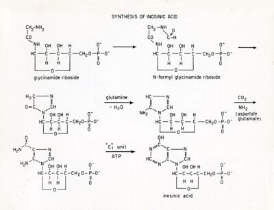 Synthesis of inosinic acid