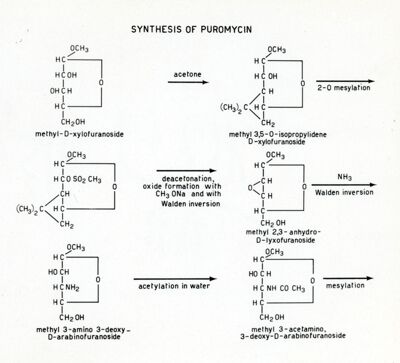 Synthesis of puromycin