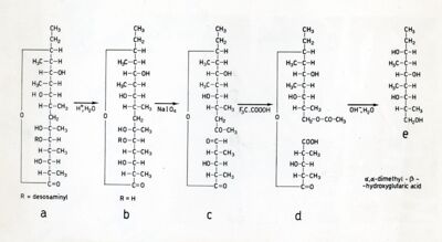 Eritromicina e sua degradazione