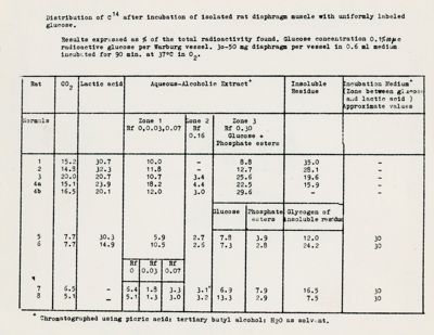 Tabella di misure radioattive sul metabolismo del glucosio nel diaframma di ratto