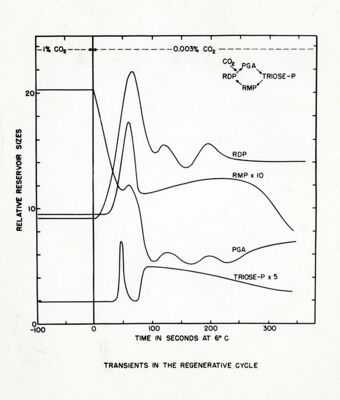 Prodotti di passaggio nel ciclo rigenerativo