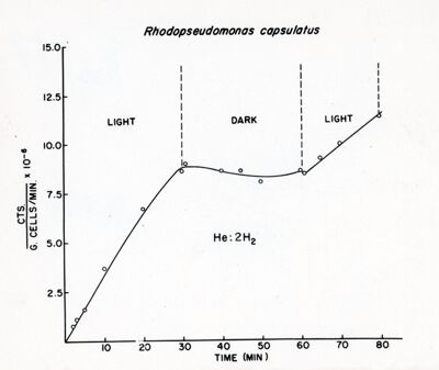 Fotoriduzione e riduzione del CO2 da parte del batterio purpureo