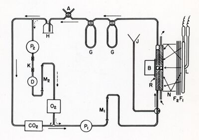 Diagramma schematico dell'apparato per la misura della richiesta di quanti in fotosintesi