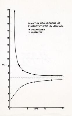 Quantum necessari per la fotosintesi (con chlorella)