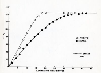 L'effetto dell'acido tiottico nella velocità di sviluppo dell'ossigeno da parte di alghe illuminate in presenza di chinone