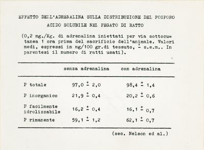 Attività metaboliche dell'adrenalina