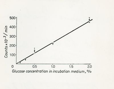 Metabolismo intermedio dei carboidrati