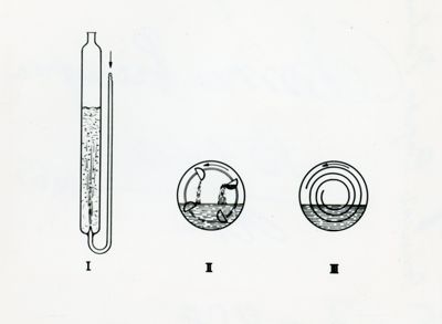 Acido Kogico